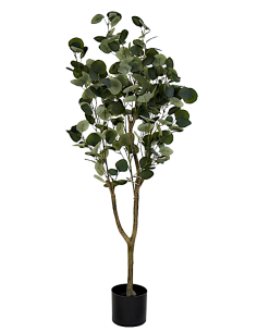 COMPLEMENTI D'ARREDO: vendita online EUCALIPTO PIANTA VERDE H.120 CON VASO JA212498 in offerta