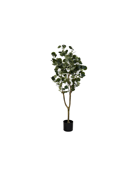 COMPLEMENTI D'ARREDO: vendita online EUCALIPTO PIANTA VERDE H.120 CON VASO JA212498 in offerta