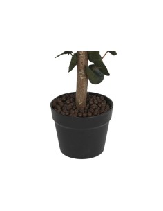 COMPLEMENTI D'ARREDO: vendita online EUCALIPTO PIANTA VERDE H.120 CON VASO JA212498 in offerta 2