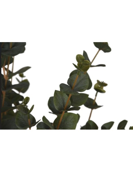 COMPLEMENTI D'ARREDO: vendita online EUCALIPTO PIANTA VERDE H.120 CON VASO JA212498 in offerta