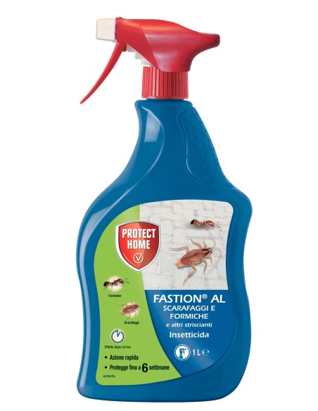 INSETTICIDI: vendita online INSETTICIDA FASTION AL 1 LITRO PROTECT HOME SCARAFAGGI E FORMICHE in offerta