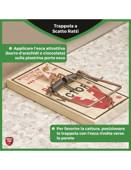 TRAPPOLE: vendita online TRAPPOLA A SCATTO VICTOR PROTECT HOME PER RATTI in offerta