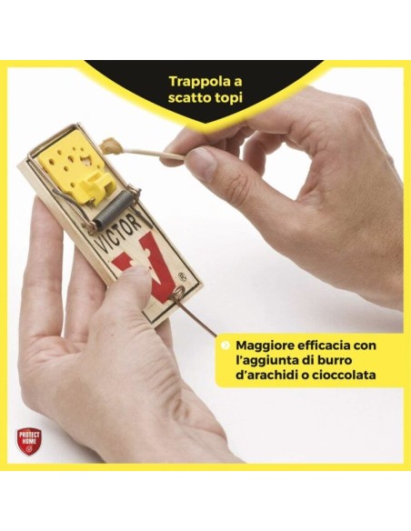 TRAPPOLE: vendita online TRAPPOLA A SCATTO VICTOR PROTECT HOME PER RATTI SET 2 PEZZI in offerta