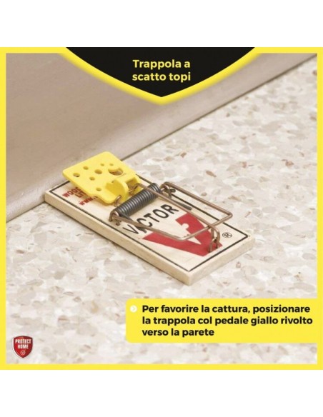 TRAPPOLE: vendita online TRAPPOLA A SCATTO VICTOR PROTECT HOME PER RATTI SET 2 PEZZI in offerta