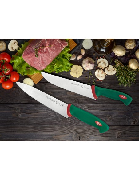 PREMANA: vendita online COLTELLO TRINCIANTE 21 CM PREMANA SANELLI in offerta