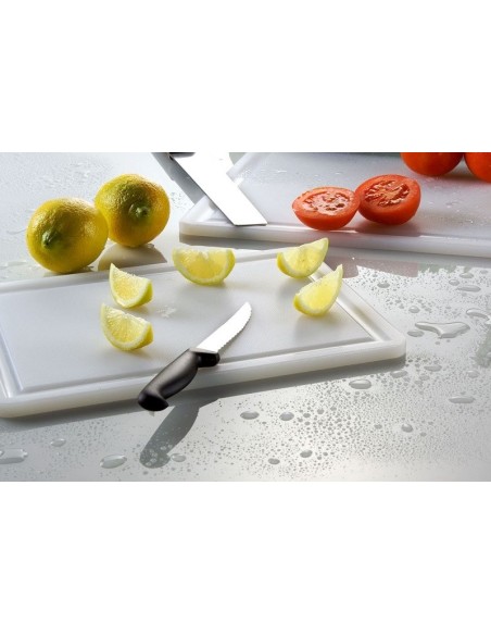 TAGLIERI-TAGLIERI POLIETILENE: vendita online TAGLIERE RETTANGOLARE 29 X 44 X 1 CM IN POLIETILENE CON SCANALATURA LEONE in of...