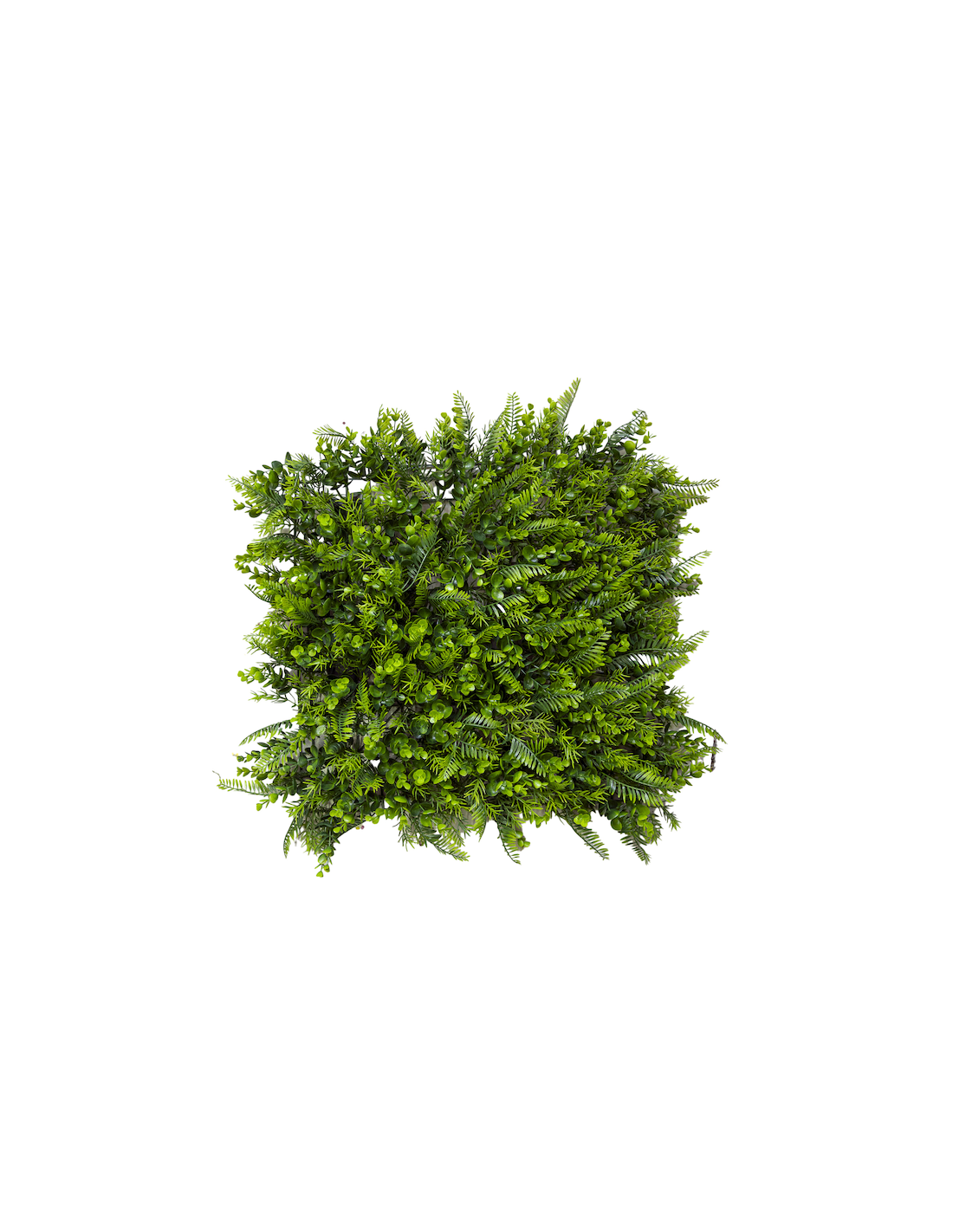 COMPLEMENTI D'ARREDO: vendita online PANNELLO PARETE SINTETICO 50 X 50 CM EUCALIPTO-FELCE in offerta