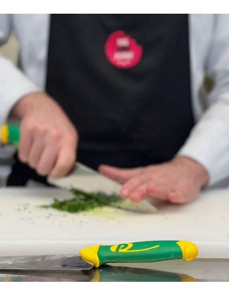 DOPPIA INIEZIONE: vendita online COLTELLO CUCINA SEGHETTATO IMPERIALE 24 CM COLTELLERIE PAOLUCCI in offerta