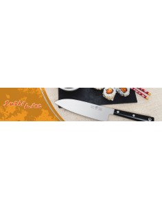COLTELLERIA: vendita online COLTELLO SFILETTARE SUSHI LINE 27 CM COLTELLERIE PAOLUCCI in offerta 2