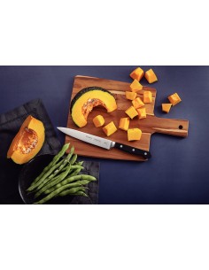 COLTELLERIA: vendita online COLTELLO TRINCIANTE CENTURY 21 CM MANICO IN POLICARBONATO TRAMONTINA in offerta 2