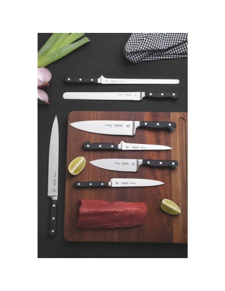 COLTELLERIA: vendita online COLTELLO PROSCIUTTO CENTURY 25 CM MANICO IN POLICARBONATO TRAMONTINA in offerta