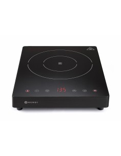 PIASTRE COTTURA: vendita online PIASTRA A INDUZIONE KITCHEN LINE W.2000 MM.297X411X57H in offerta