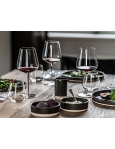 CALICI: vendita online CALICE VERBELLE VERVINO ALLROUND CL. 68,5 SCHOTT ZWIESEL in offerta 2