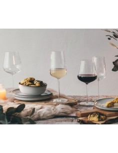 CALICI: vendita online CALICE VERBELLE VERVINO BURGUNDY CL. 95,5 SCHOTT ZWIESEL in offerta 2