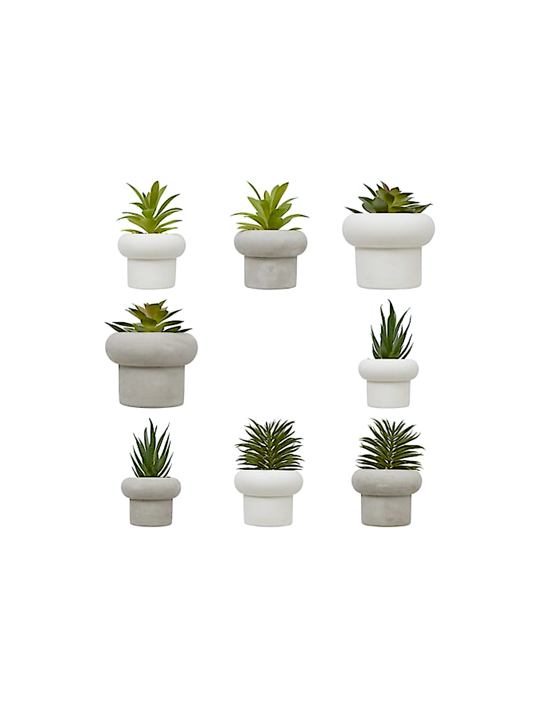 STEFI PIANTA GRASSA CM.15 CON VASO CEMENTO ASSORTITO 210231