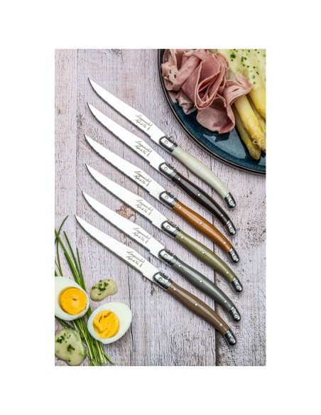 COLTELLERIA: vendita online SET 6 COLTELLI BISTECCA 11 CM PREMIUM LINE - TREASURE SCHOENHUBER in offerta