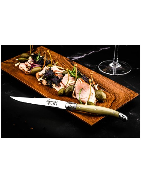 COLTELLERIA: vendita online SET 6 COLTELLI BISTECCA 11 CM PREMIUM LINE - TREASURE SCHOENHUBER in offerta
