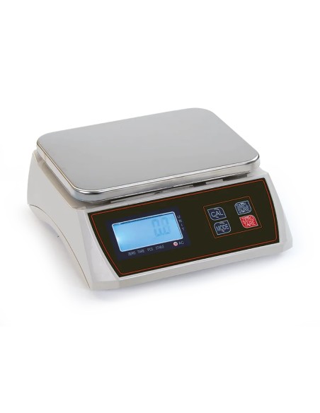 BILANCE: vendita online BILANCIA ELETTRONICA CON DISPLAY 30KG/1G in offerta