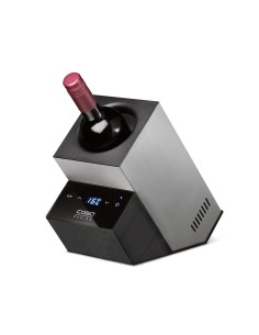 ACCESSORI: vendita online RAFFREDDATORE DI VINO WINECASE DELUXE INOX CASO in offerta